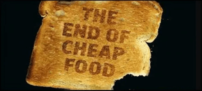 The End Of Cheap Food! (The goal isn’t to replace industrial agriculture. The goal is to reduce our dependency on unsustainable global systems by reinvigorating localized&nbsp;production.)